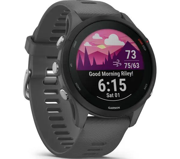 Smartwatch Garmin Forerunner 255, Slate Grey