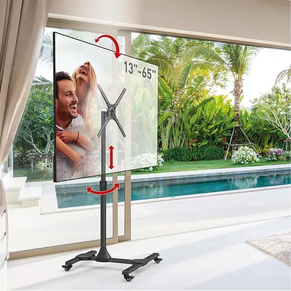 Stand TV Barkan SW310H mobil 13-65 inch