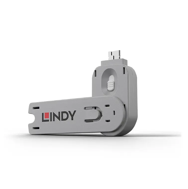 Cheie Blocare Port, Lindy, USB Type A, Gri