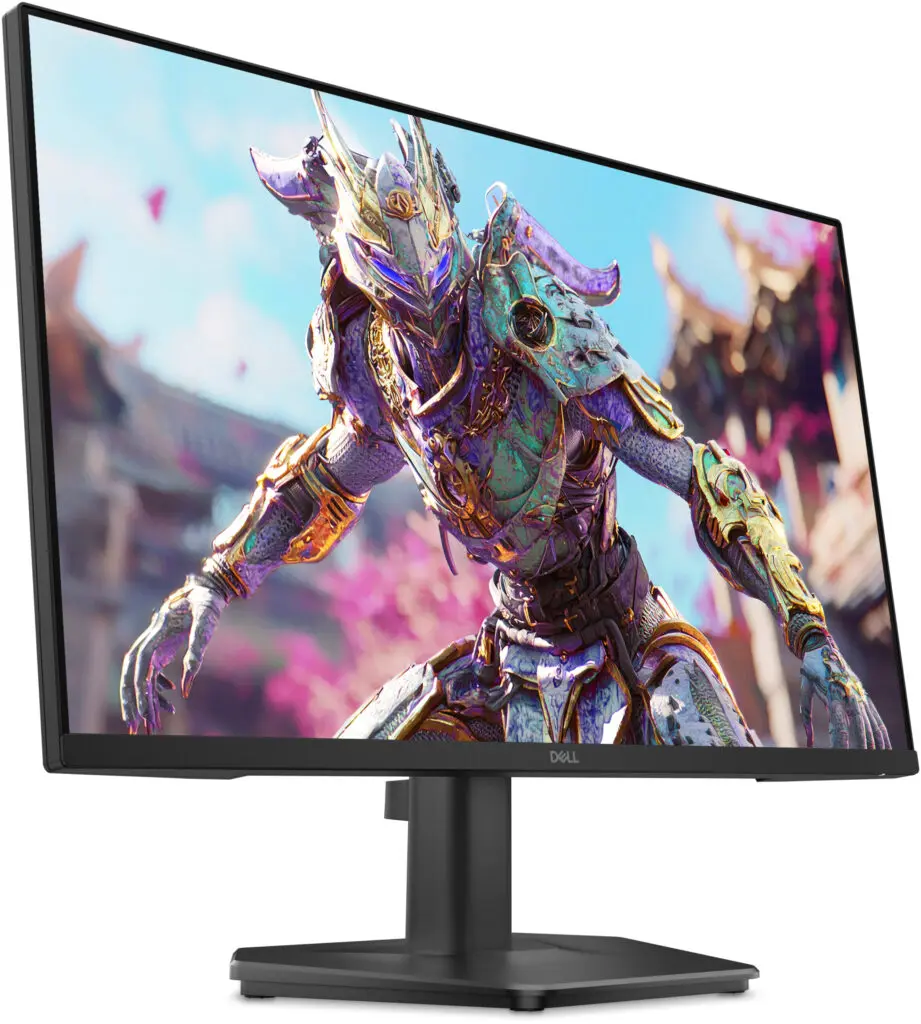 Monitor Dell SE2426HG 240Hz 23.8″ IPS Full HD