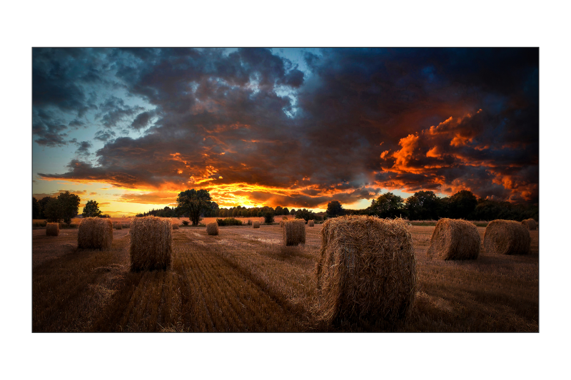 Monitor videowall SAMSUNG VM55B-U 3.5mm