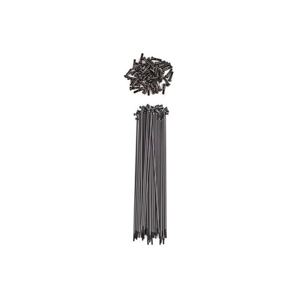 Patch panel pentru 19″ 24 porturi (SFA) (SFB) goale, Schrack, rackabil, 1UH, 19″, RAL7035, scurt