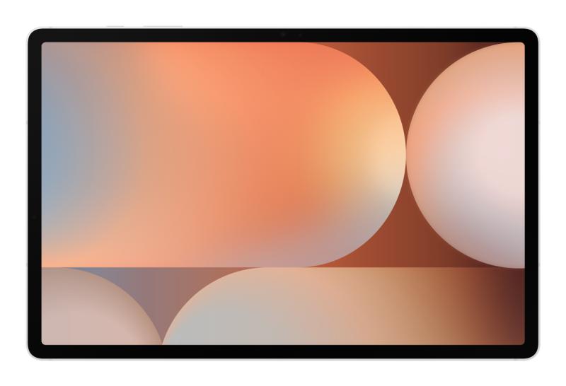 Tableta Samsung Galaxy Tab S10+, Octa-Core, 12.4'', 12GB RAM, 512GB, 5G, Platinum Silver 3 Tableta Samsung Galaxy Tab S10+, Octa-Core, 12.4'', 12GB RAM, 512GB, 5G, Platinum Silver - imagine 3