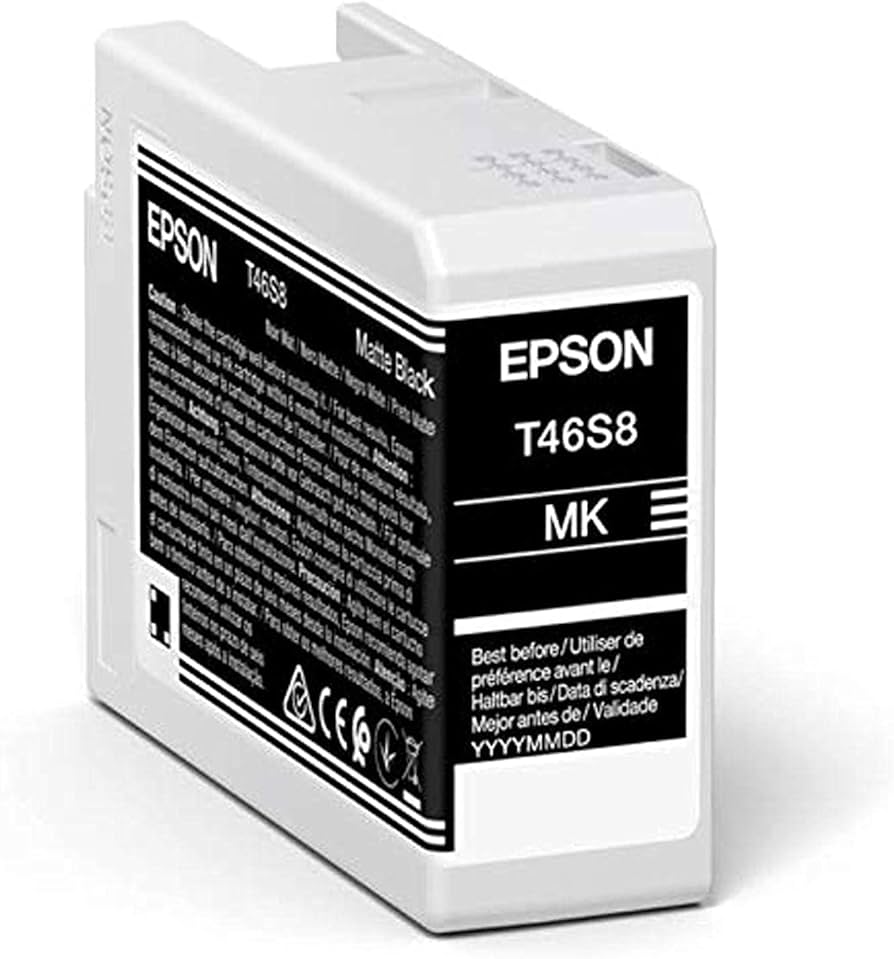 Cartus de cerneala, Epson, 25 ml, Negru