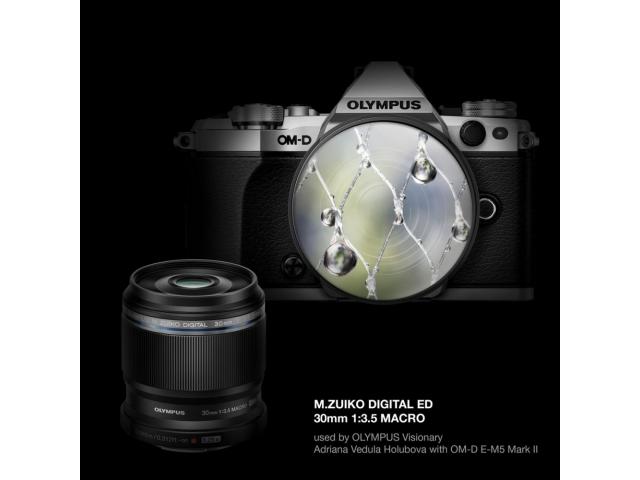 Obiectiv Olympus M.Zuiko Digital ED 30mm F3.5 Macro, MFT, Negru