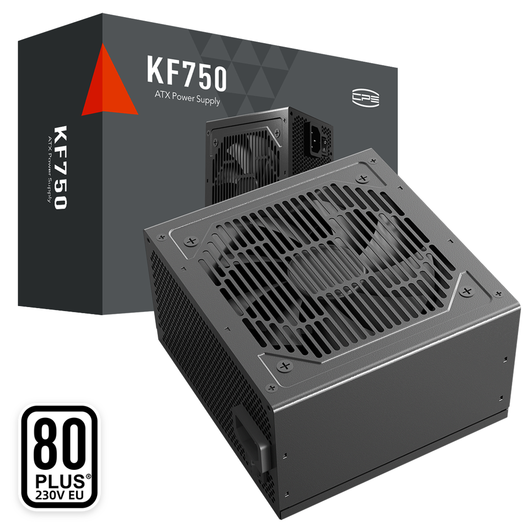 Sursa PCCOOLER, 750W, fan 120mm, certificare 80PLUS White, MB 20+4 pin x 1, CPU 4+4 pin x 2, PCI-E 6+2 pin x 2, SATA x 3 1 Sursa PCCOOLER, 750W, fan 120mm, certificare 80PLUS White, MB 20+4 pin x 1, CPU 4+4 pin x 2, PCI-E 6+2 pin x 2, SATA x 3