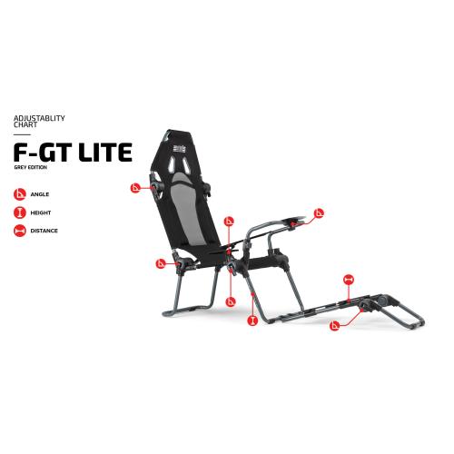 Scaun de gaming Next Level Racing F-GT LITE, metalic, textil, gri, 175x60x45cm