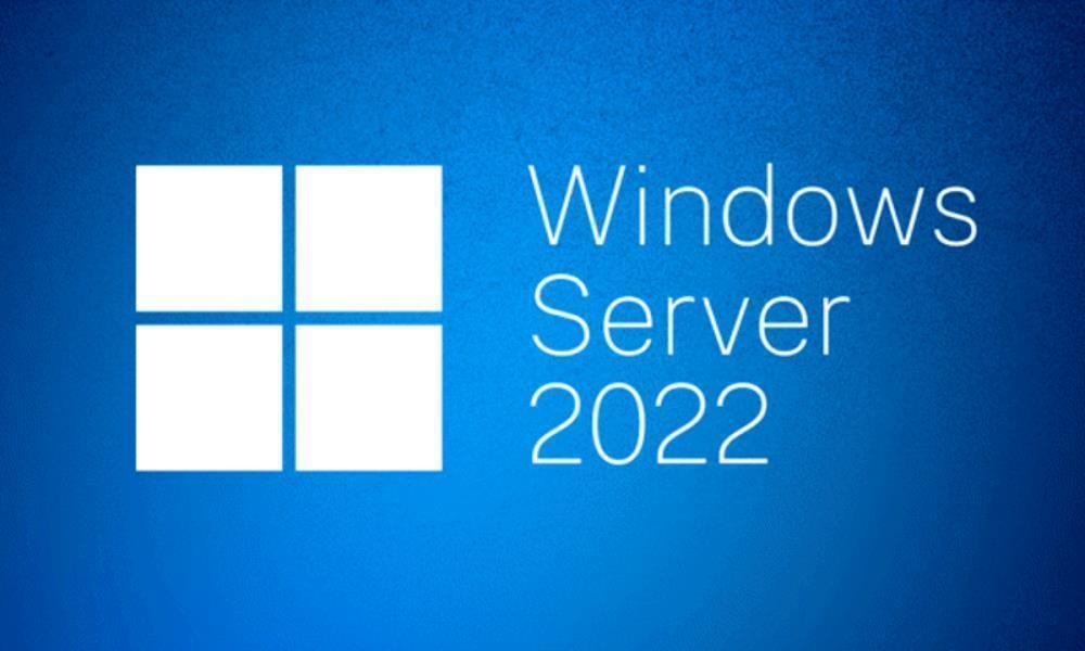 Microsoft Windows Server CAL 2022 English 1pk DSP OEI 5 Clt Device CAL