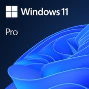 Microsoft GGK Windows 11 Pro, 64 bit, Engleza, Licenta de legalizare, DVD