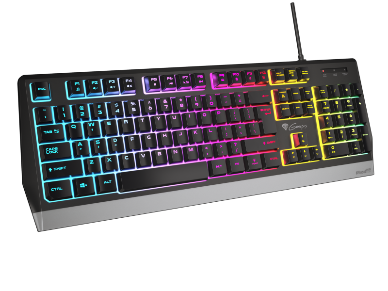 Tastatura Gaming cu fir Genesis RHOD 300, Membrane High Profile, Full Layout US, 19 Taste Anti-Ghosting, Constructie Anti-Spill, Cablu 1.75m, Iluminare RGB, USB,Negru
