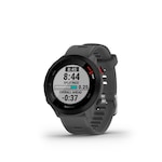 Ceas inteligent, Garmin, Forerunner 55, Gri