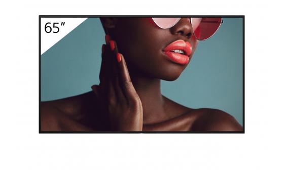 Monitor signage SONY FW-65BZ40L