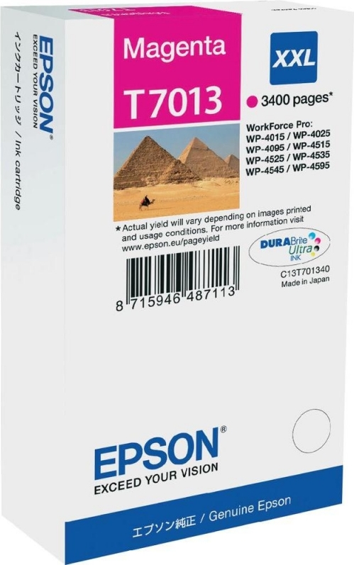 Cartus Cerneala Original Epson Magenta, T7013, pentru WP4000|4500,  , (timbru verde 0.15 lei), „C13T70134010″(RAPO)
