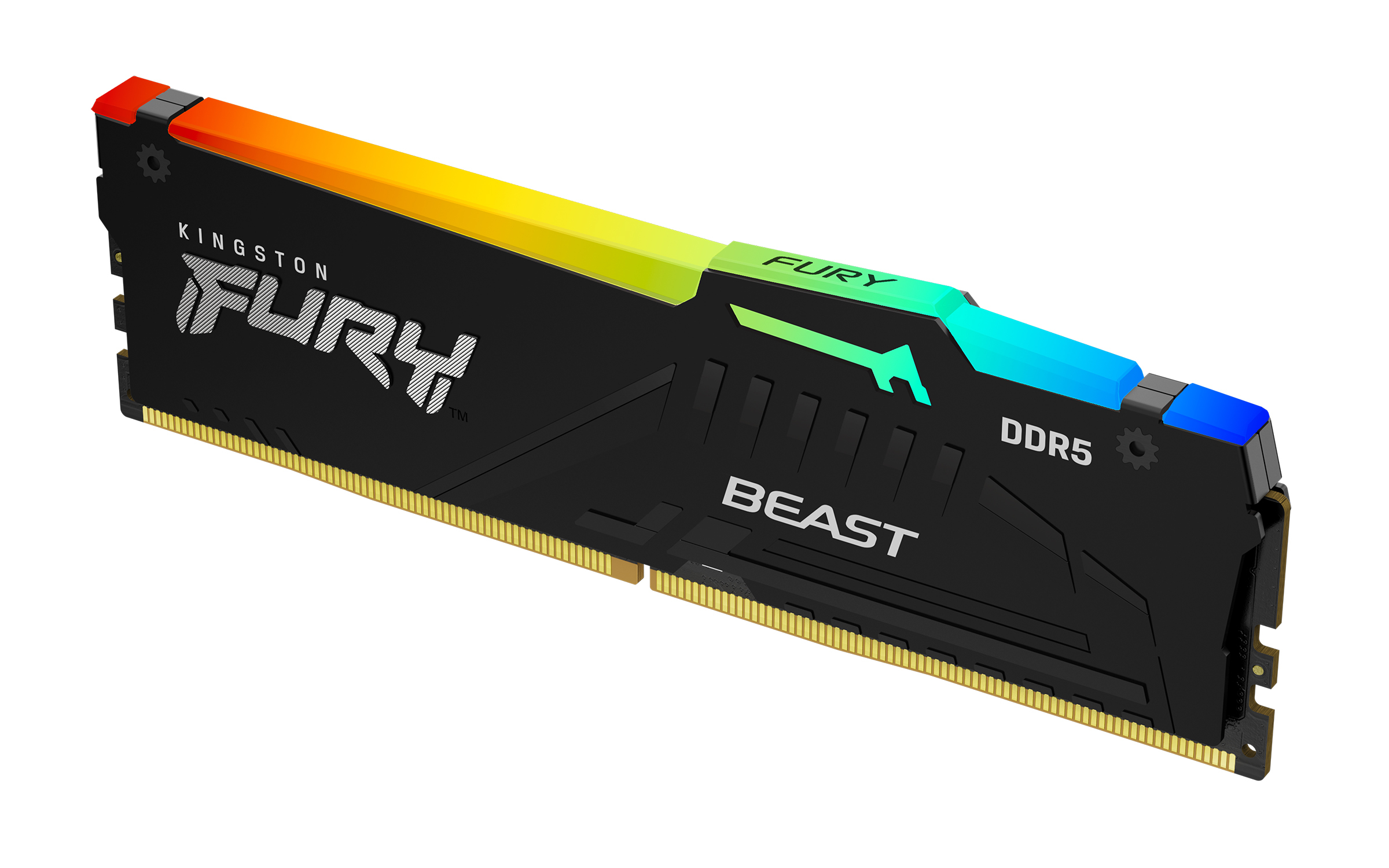 MEMORY DIMM 32GB DDR5-5600/KF556C36BBE2A-32 KINGSTON "KF556C36BBE2A-32" 1 MEMORY DIMM 32GB DDR5-5600/KF556C36BBE2A-32 KINGSTON "KF556C36BBE2A-32"
